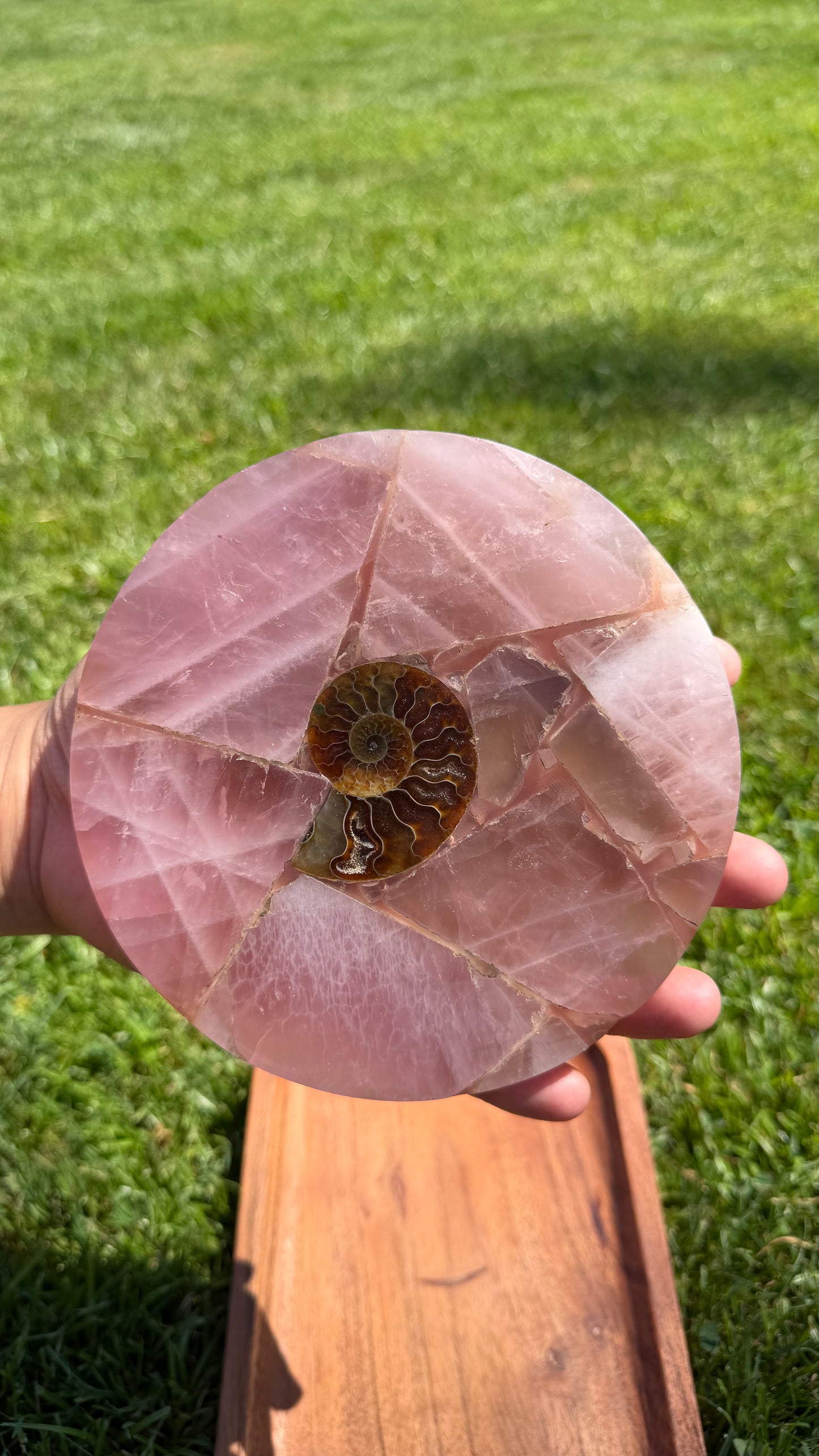 Rose Quartz & Ammonite Medallion Trivet "Lisa"