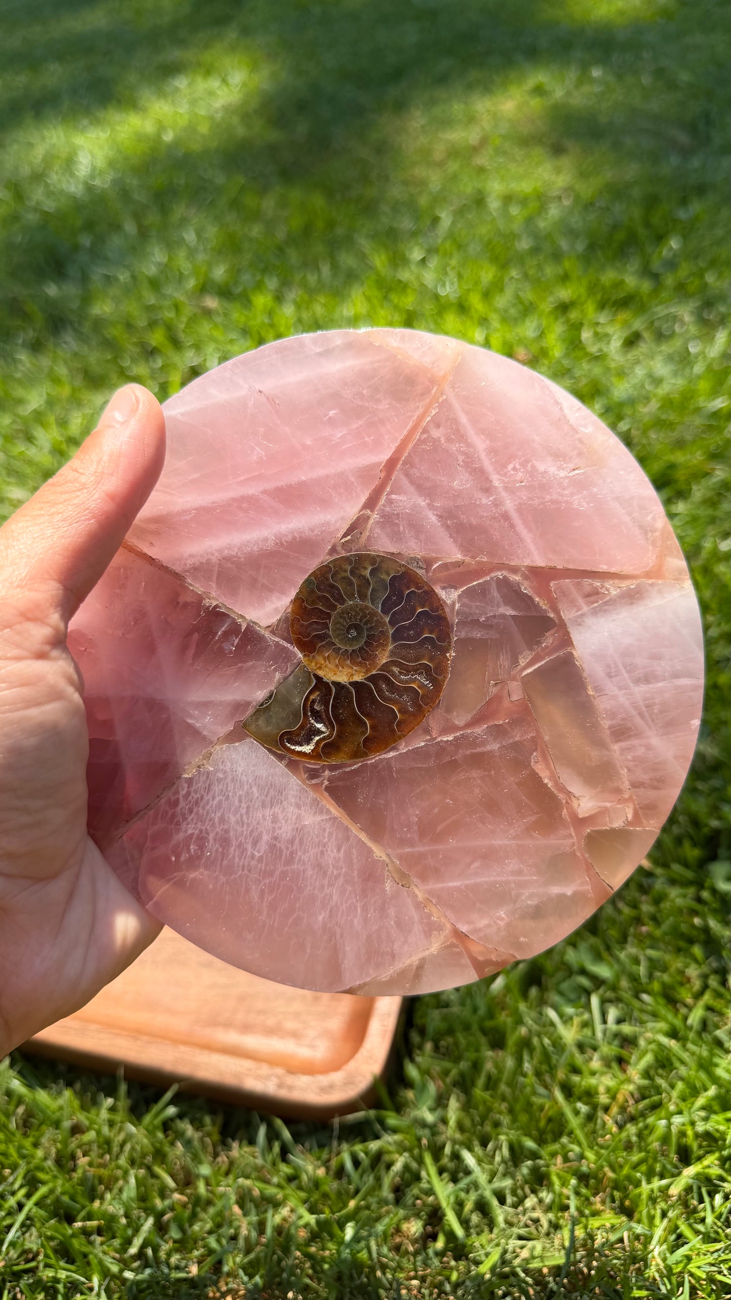 Rose Quartz & Ammonite Medallion Trivet "Lisa"