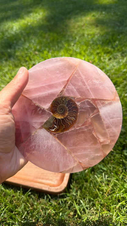 Rose Quartz & Ammonite Medallion Trivet "Lisa"
