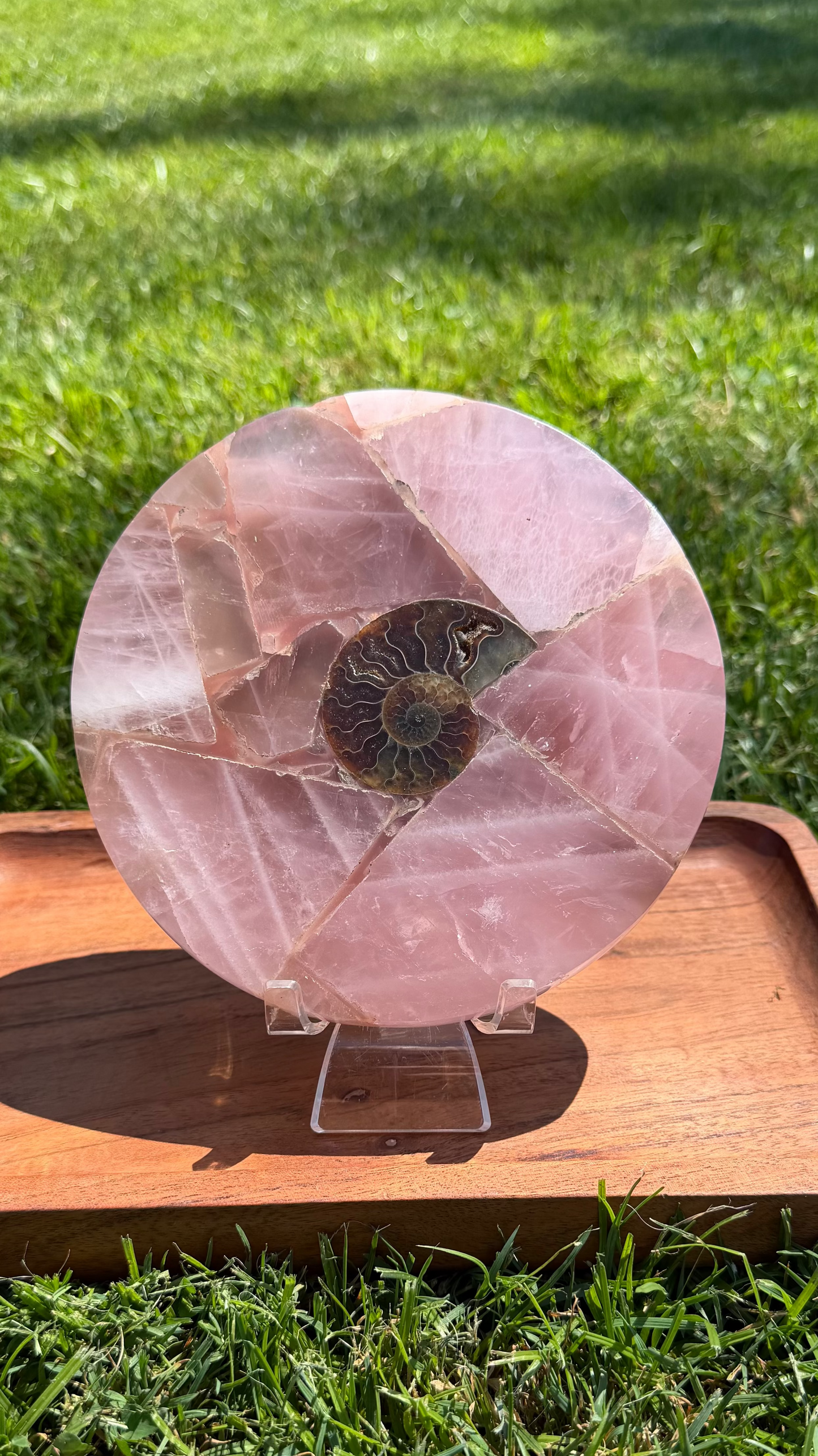 Rose Quartz & Ammonite Medallion Trivet "Lisa"