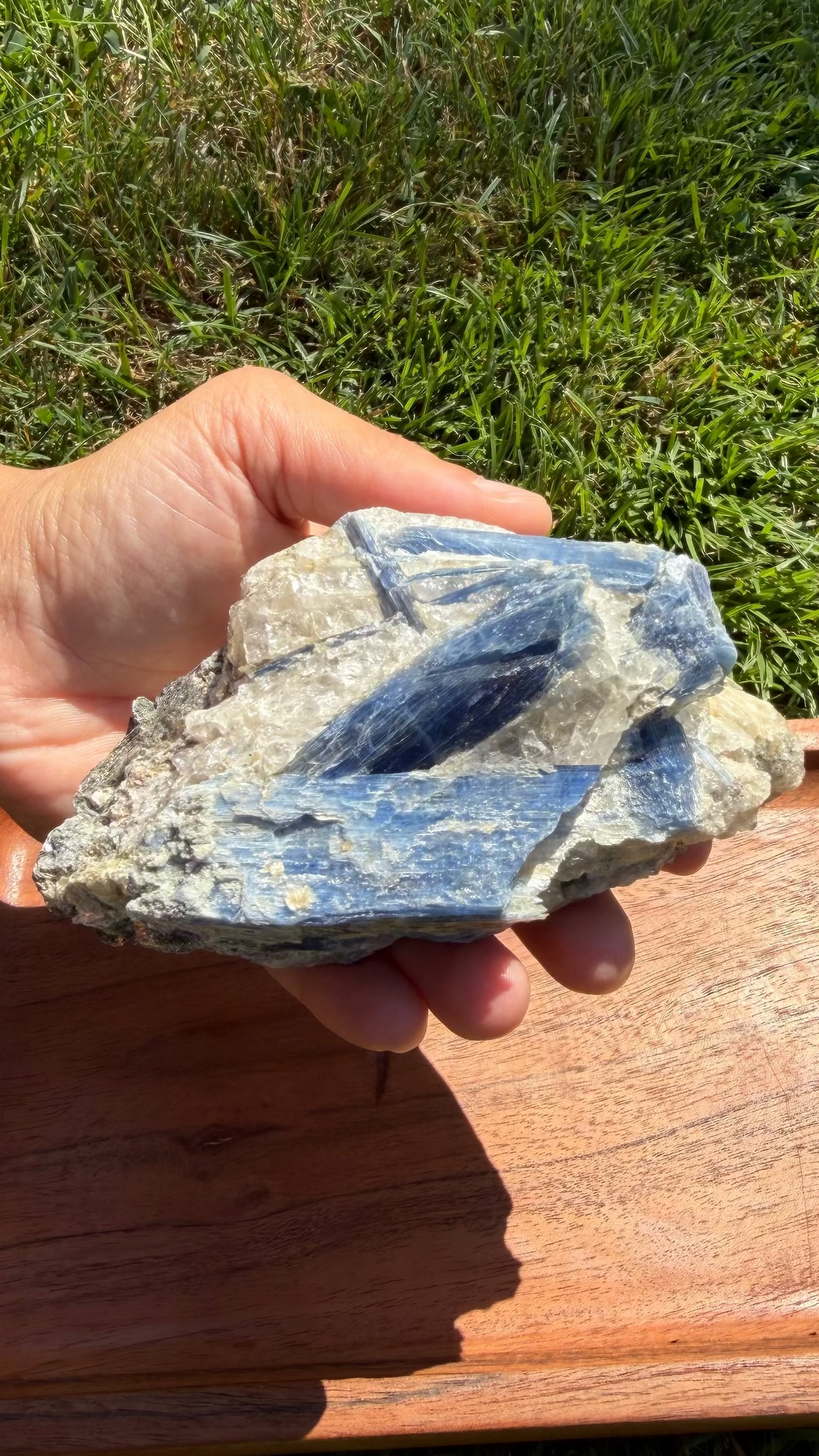 Blue Kyanite Cluster with Muscovite Mica & Clear Quartz "James"