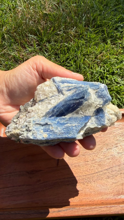 Blue Kyanite Cluster with Muscovite Mica & Clear Quartz "James"