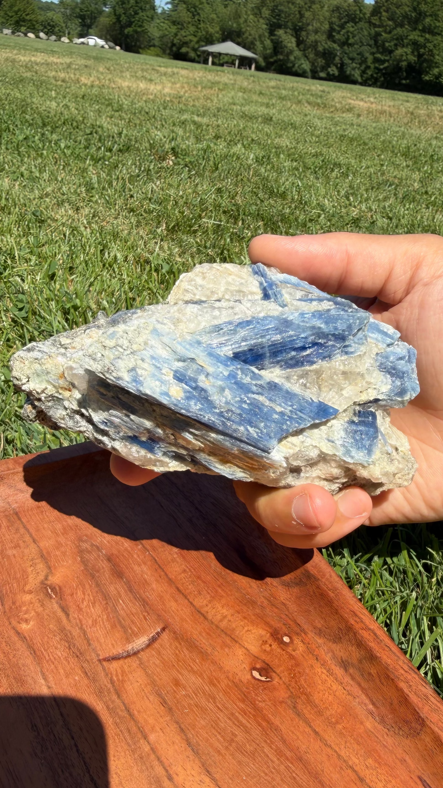 Blue Kyanite Cluster with Muscovite Mica & Clear Quartz "James"