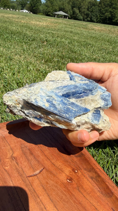 Blue Kyanite Cluster with Muscovite Mica & Clear Quartz "James"