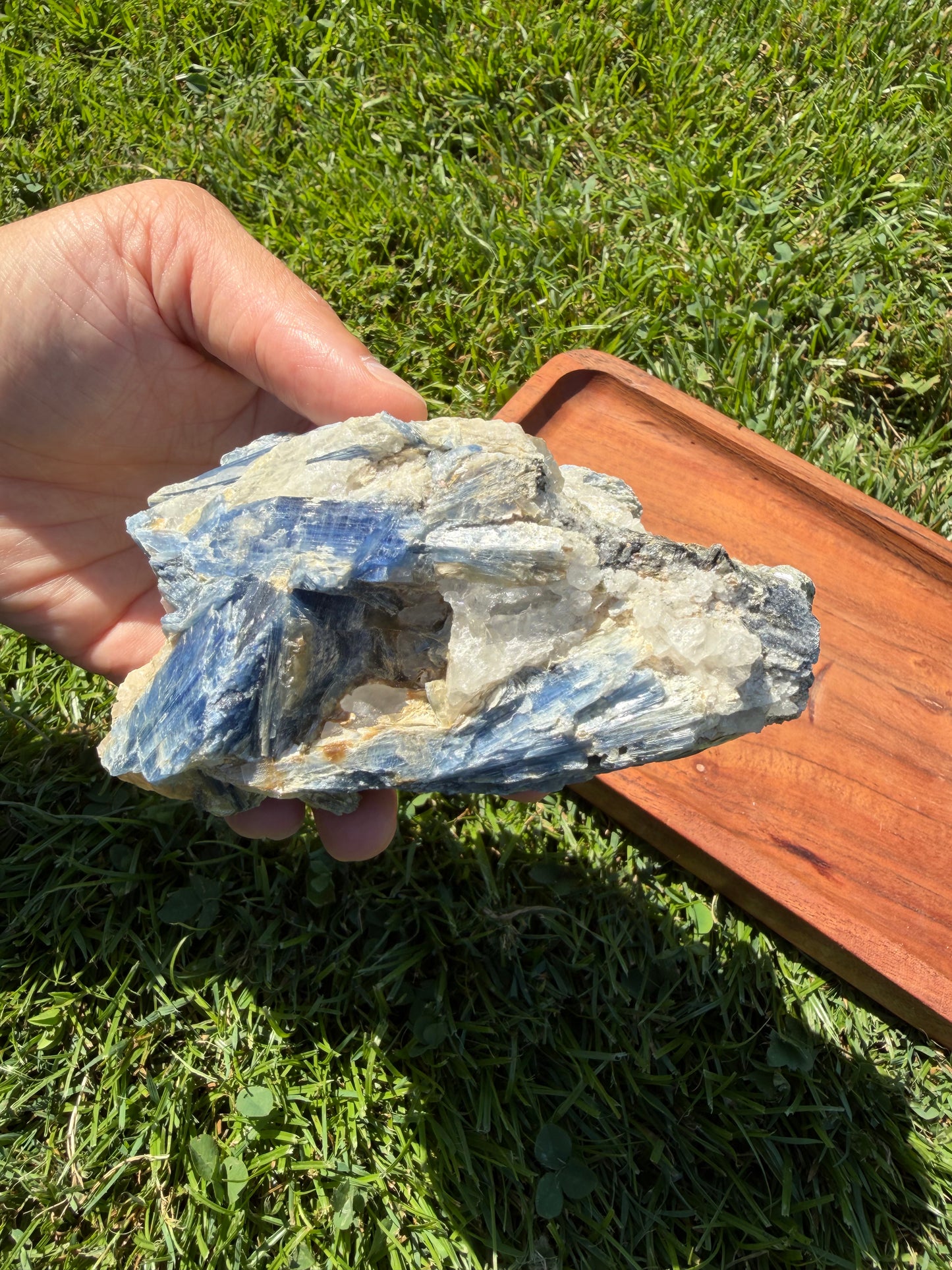 Blue Kyanite Cluster with Muscovite Mica & Clear Quartz "James"