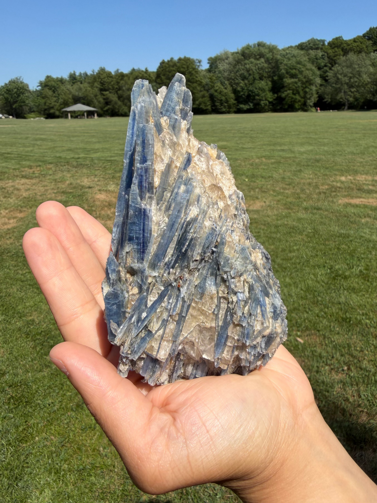 Blue Kyanite Cluster with Clear Quartz "Tom"
