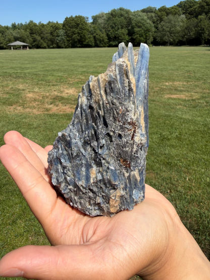 Blue Kyanite Cluster with Clear Quartz "Tom"
