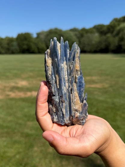 Blue Kyanite Cluster with Clear Quartz "Tom"