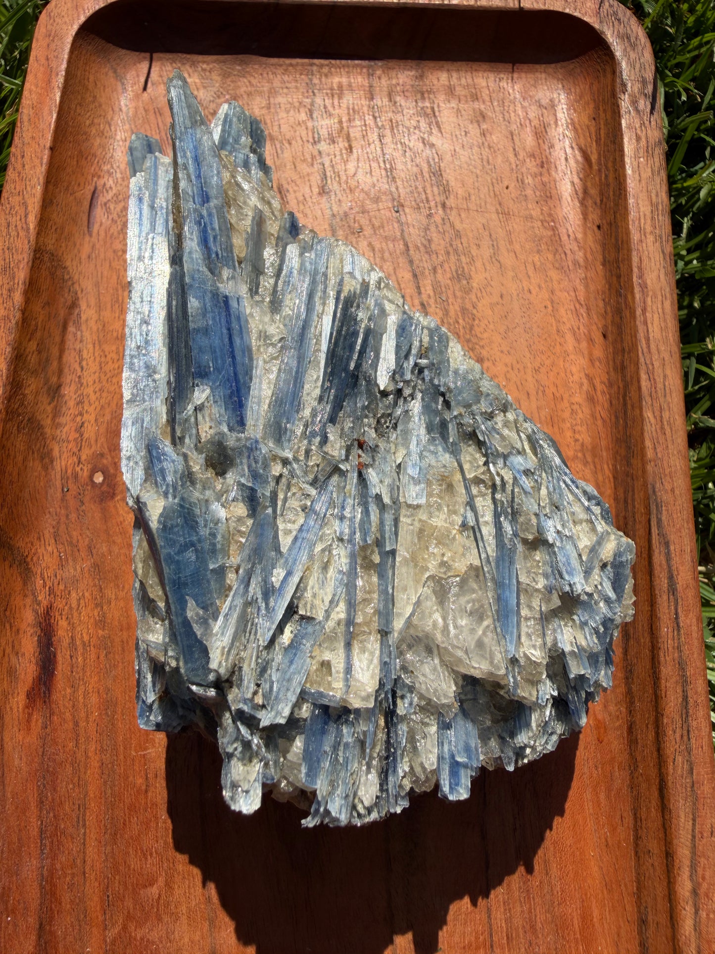 Blue Kyanite Cluster with Clear Quartz "Tom"