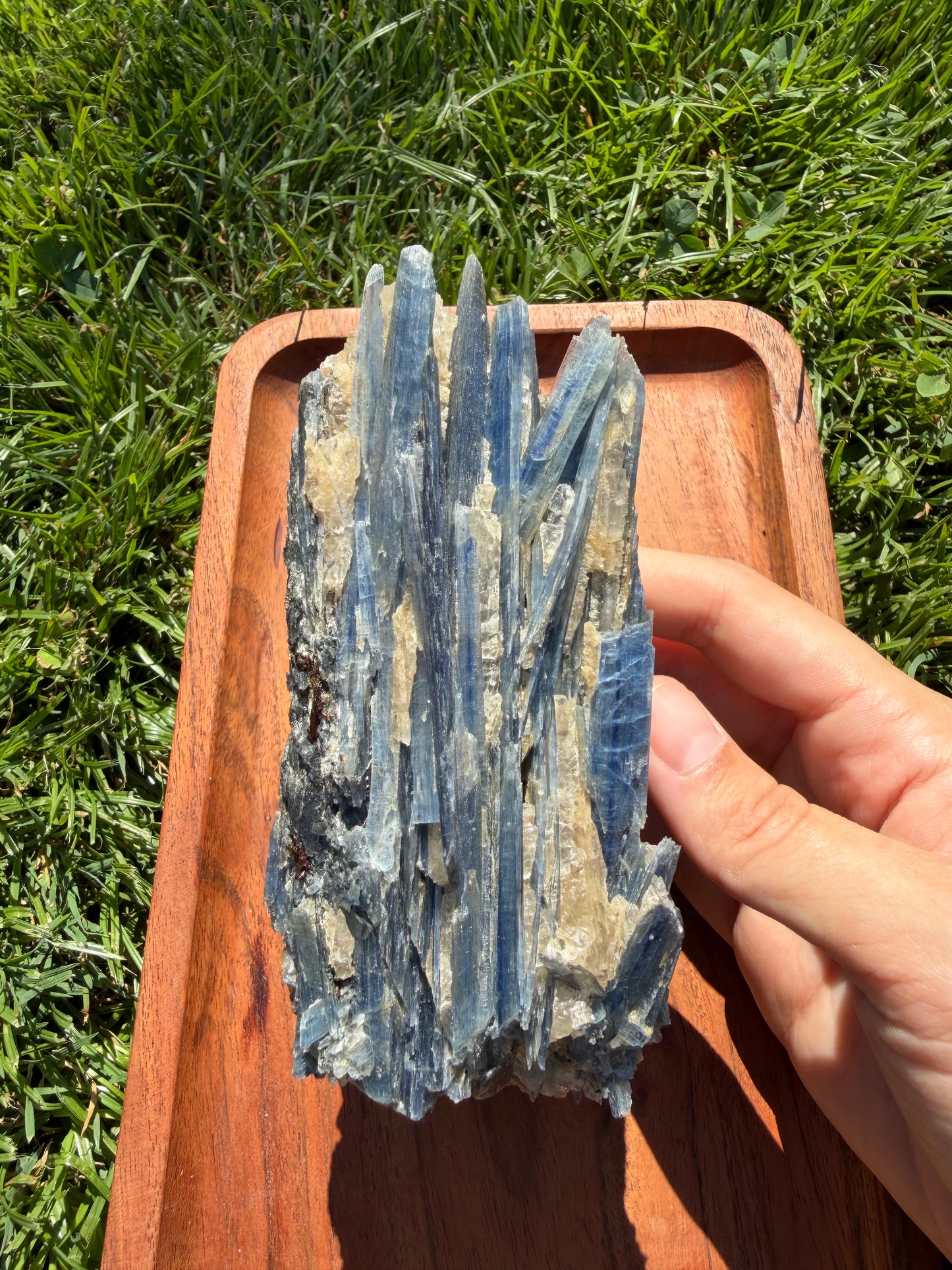 Blue Kyanite Cluster with Clear Quartz "Tom"