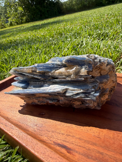 Blue Kyanite Cluster with Clear Quartz "Tom"