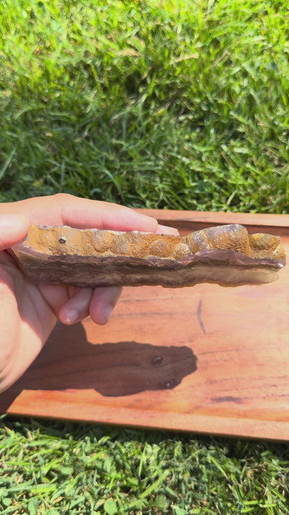 Fluorite, Pyrite, & Barite Polished Slab "Stassi"