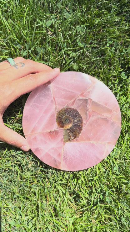 Rose Quartz & Ammonite Medallion Trivet "Lisa"