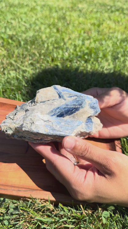 Blue Kyanite Cluster with Muscovite Mica & Clear Quartz "James"